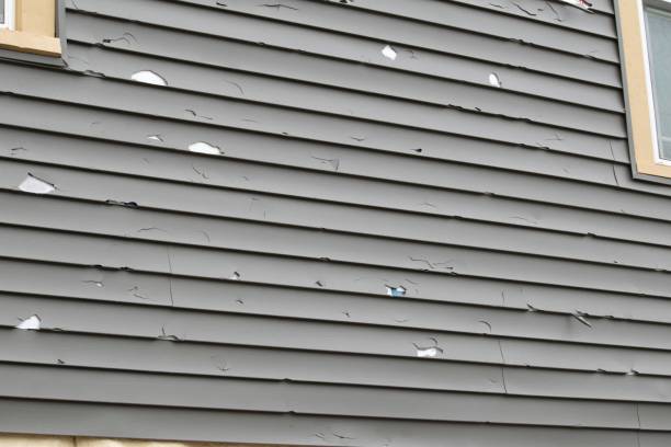 Best Residential Vinyl Siding Installation  in Hoboken, NJ