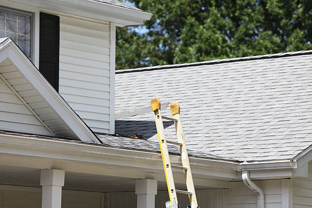 Best Siding Maintenance  in Hoboken, NJ
