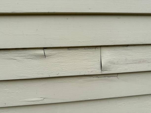 Best Stone Veneer Siding  in Hoboken, NJ